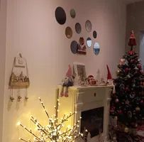 Apartament 3 camere  Elisabetin - Poză 5