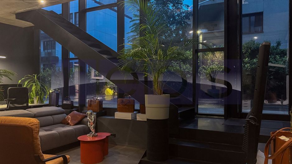 Inchiriere Spatiu Comercial / Birou in Win Herastrau | 2 Etaje | 2 Intrari 78mp - Poză 3