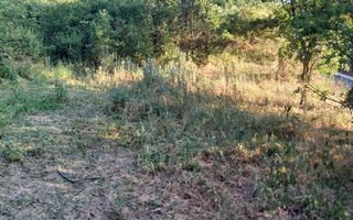 TEREN 1690 MP - ORAS STREHAIA - Poză 7