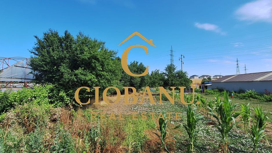 Teren intravilan de vanzare in Isalnita - Poză 9