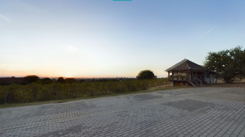 Spațiu comercial - Crama Pivnițele Birăuaș - Poză 20