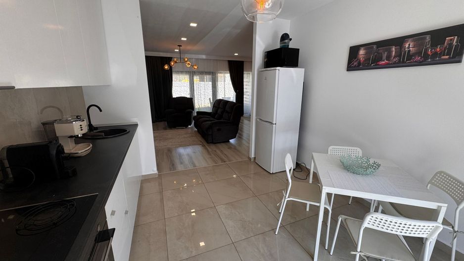 Vila Volutari 5 Camere Matei Millo - Poză 4