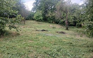 Teren intravilan 1.450 mp cu casă bătrânească și anexă în Podu Iloaiei, Iași - Poză 3