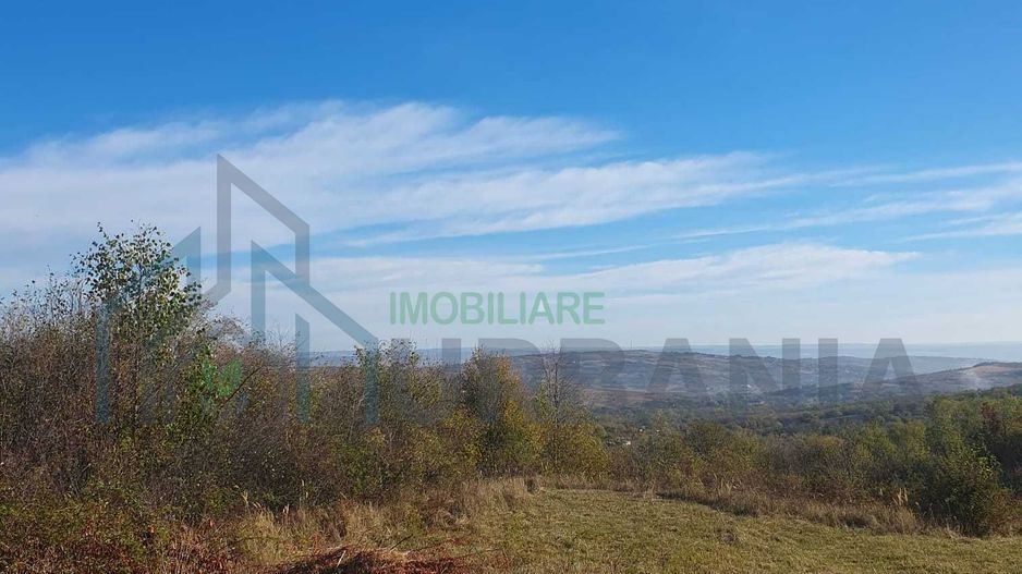 Teren extravilan de vânzare – Tomesti sat, zona deluroasa - Poză 1
