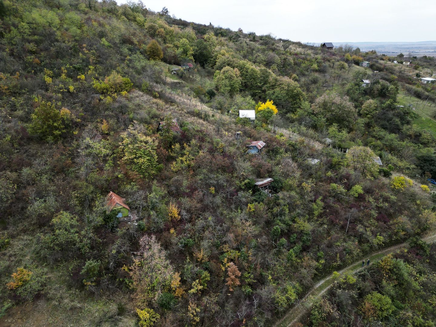 Teren 18,300mp Ghioroc - Poză 14