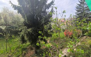 Apartament tip studio cu gradina Gruia strada Migdalului - Poză 4