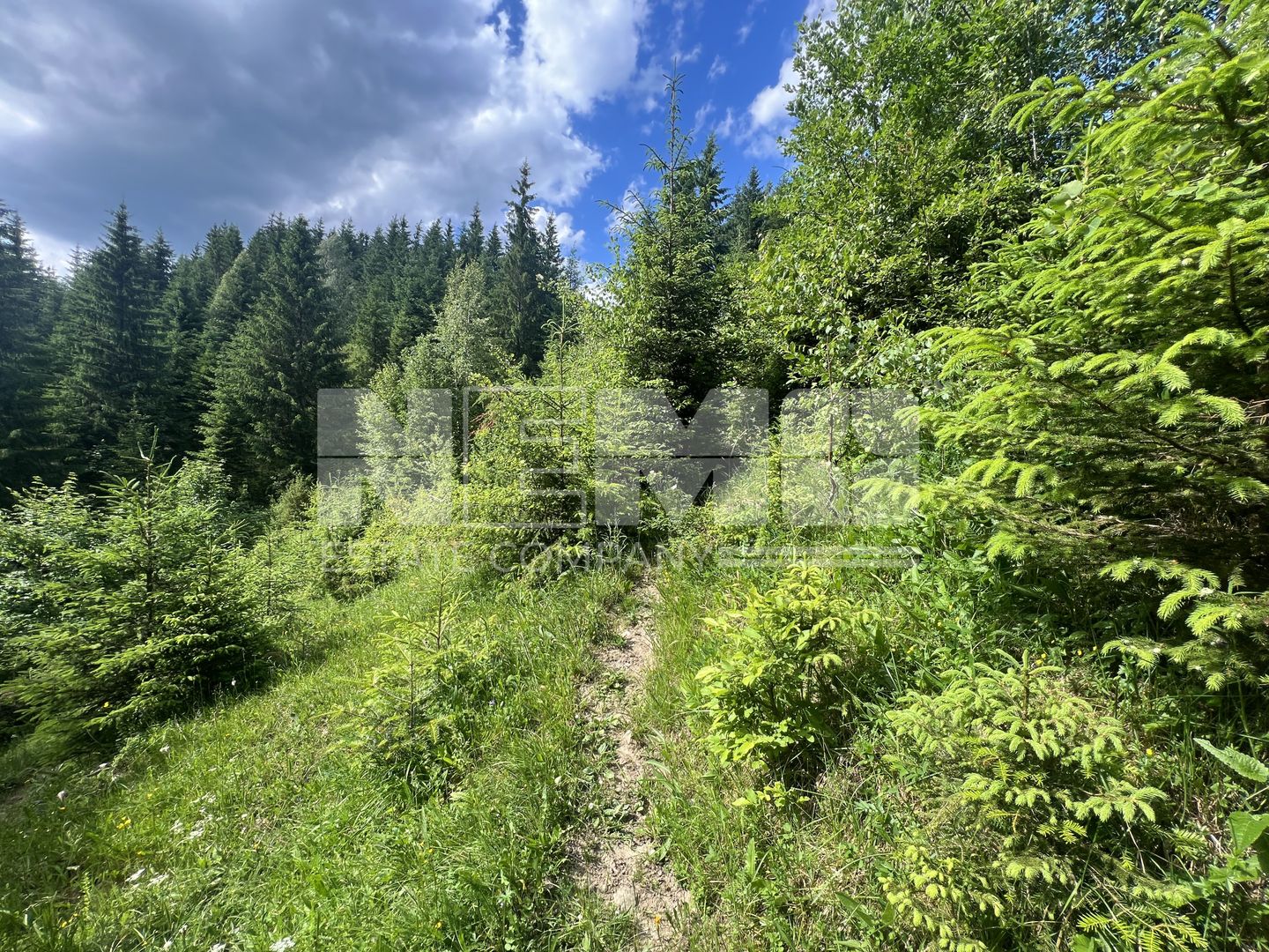 Teren Intravilan | Brodina de Jos | 16900 MP - Poză 10