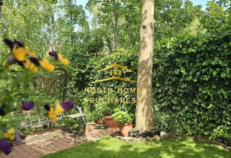 Vila 4 camere 220 mpu - 400 mp teren - Pipera / V Alecsandri - Poză 5