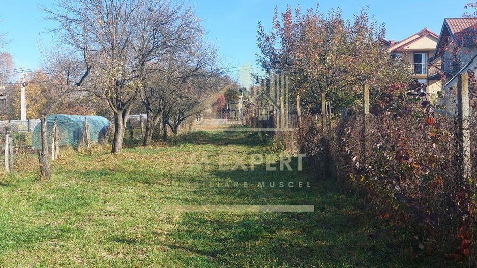 TEREN INTRAVILAN 3000 MP, CAMPULUNG - Poză 3