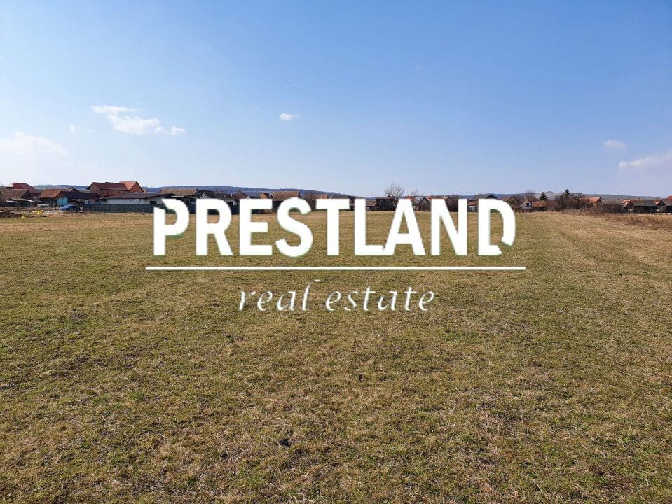 8.600 mp-Șura Mică-20 Euro-mp. - Poză 2