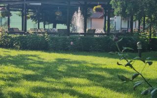 Complex turistic de vanzare, afacere functionala, Comuna Berceni - Poză 7