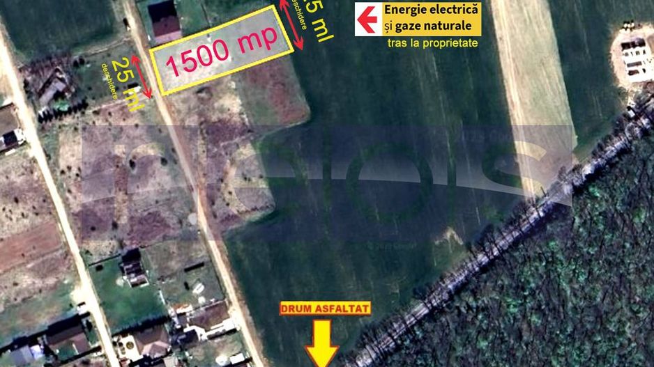 VANZARE TEREN 1500 MP| GHERMANESTI | PADUREA SNAGOV - Poză 8