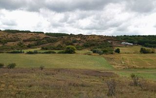 Teren 3,3 ha pentru viață la natură – livadă, liniște, Strunga Iași - Poză 5