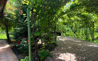 De vanzare casa P+M, 900 mp teren, zona Baisa - Poză 11