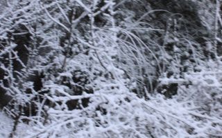 Teren cu izvor de apă minerală  Dangești, Punctul Valea Mare - Poză 16