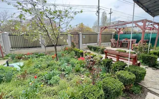 Casa 6 camere individuala Chitila langa Lidl ! - Poză 43