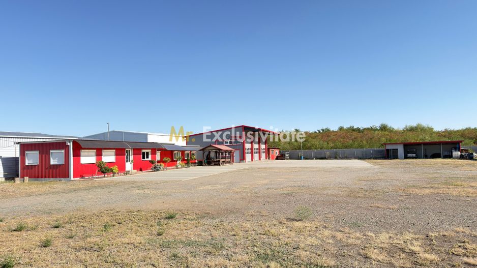 Inchiriere Hală Garaj/ Clădire de birouri-Teren 4000 mp – Carei - Poză 2