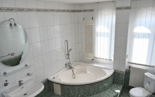 Centru comercial BUCIUM | 903 mp, 14-16 parcări, vânzare pe aripi - Poză 7