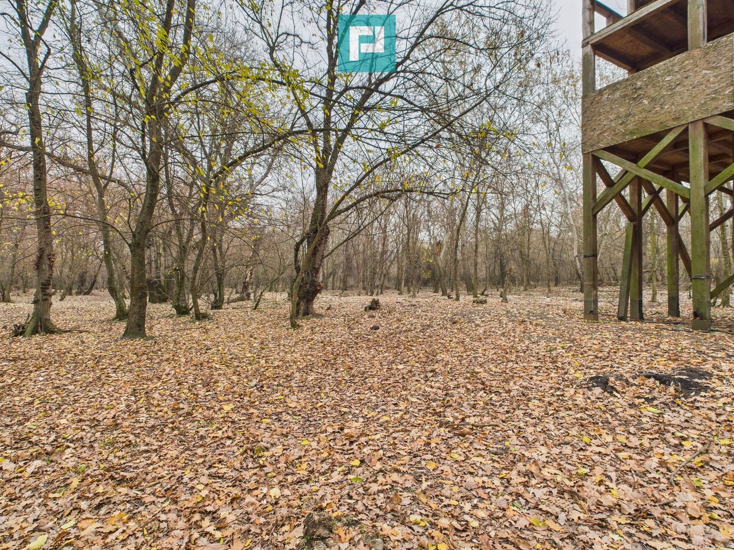 Teren spectaculos la  Periam Port - Poză 14