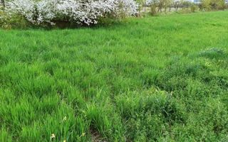 Teren intravilan 2515 mp cu utilitati- Zona Valea Castailor - Poză 3