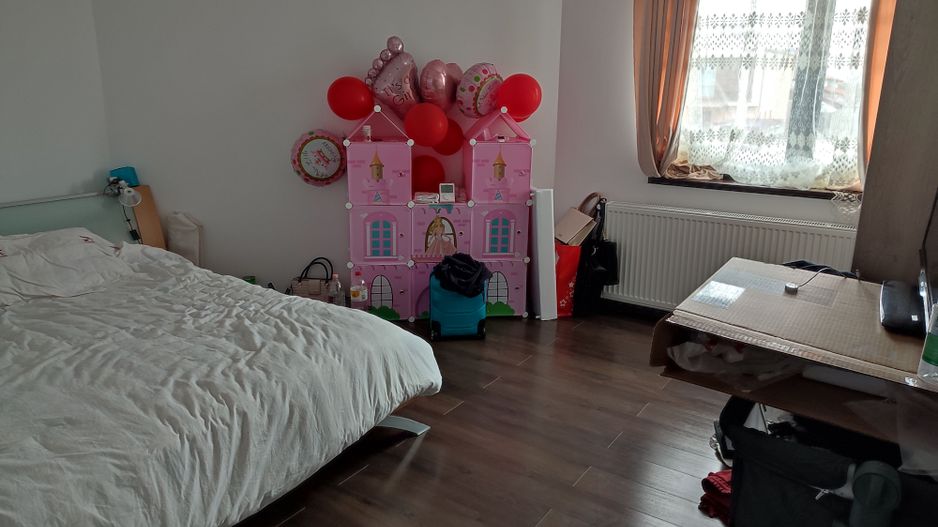 Sanandrei, Spurafete generoase, drum asflatat - Poză 13