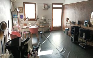 Spatiu comercial, 40 mp, Motilor Zona Platinia, USAMV - Poză 2