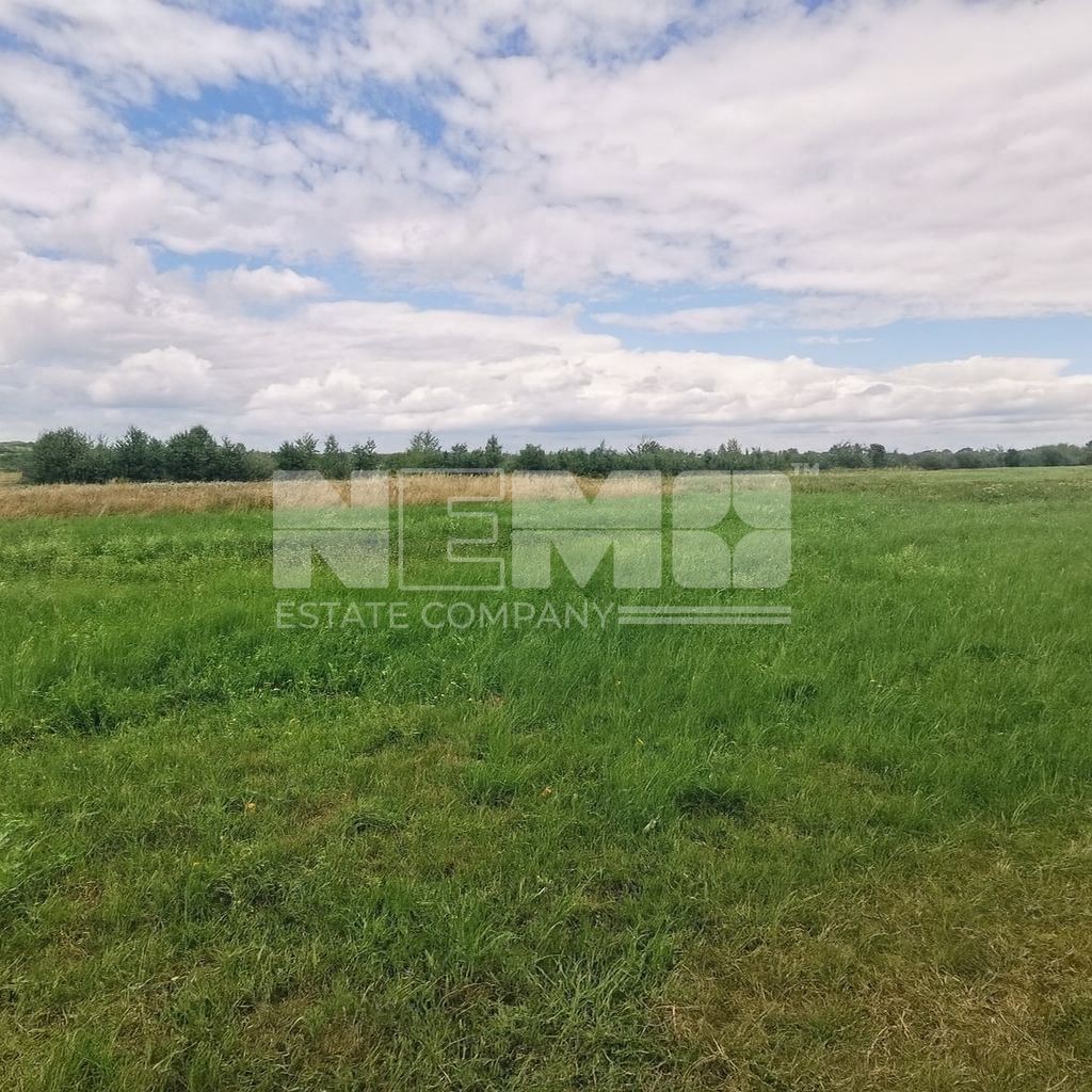 Teren Intravilan | 2.200 mp | Vicovu de Sus - Poză 4