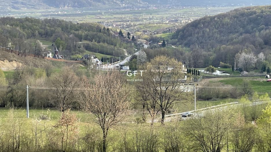 CABANA/PENSIUNE LA 25 MINUTE DE COLIBITA! PLATA IN RATE!!! - Poză 11