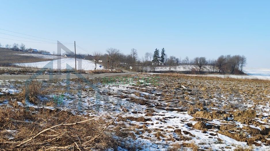 Vand teren intravilan si extravilan. - Poză 8