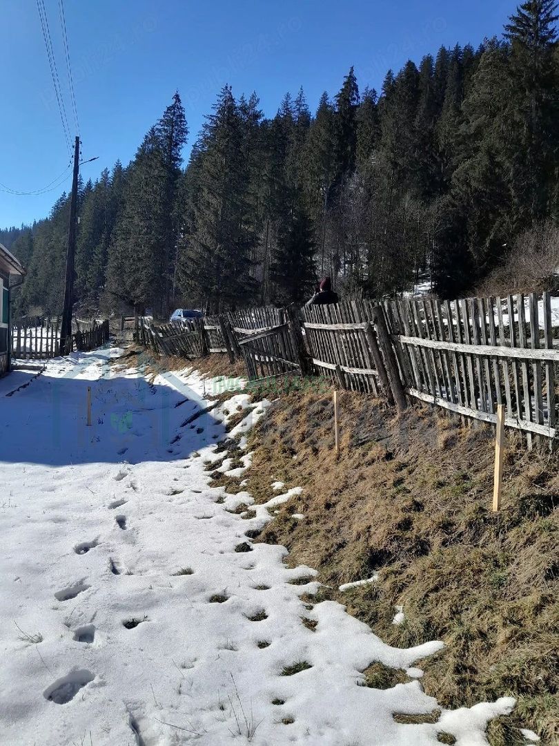 Teren intravilan în Munții Capul Corbul, Harghita - Poză 5