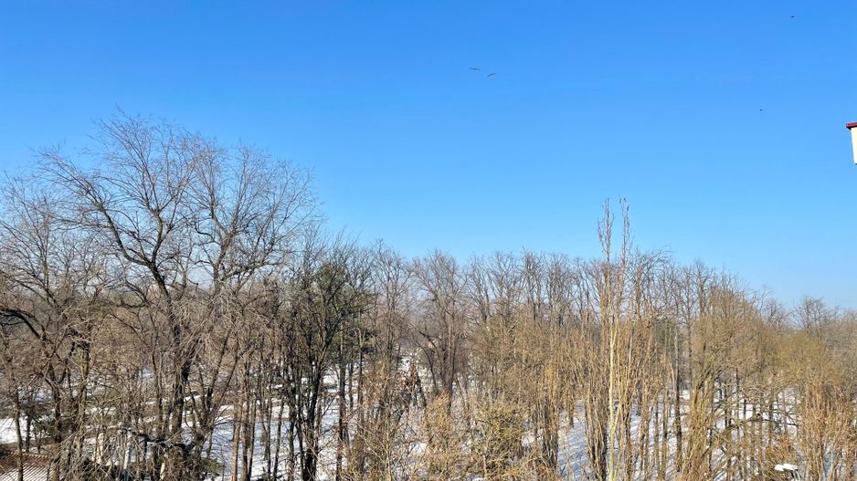 Apartament premium cu vedere spre parc – Soseaua Nordului, Herastrau - Poză 7