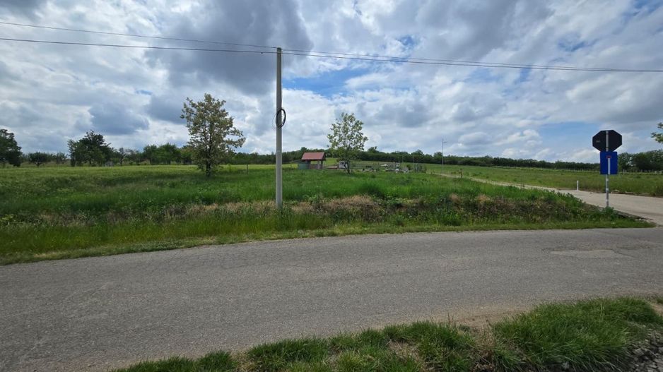 Teren intravilan Ardud Vii Satu Mare - Poză 4