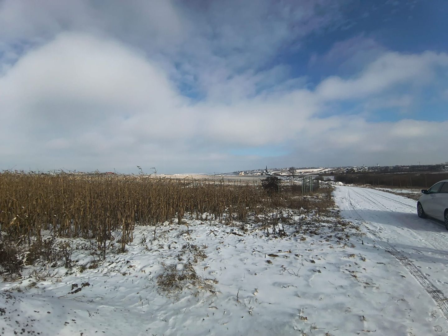 Teren de vânzare Șcheia | Sfantu Ilie | 3.361 mp - Poză 5