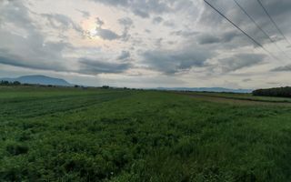 Teren Stupini Calea Feldioarei 4600 mp,21 euro/mp, front asfalt-DN13 - Poză 3