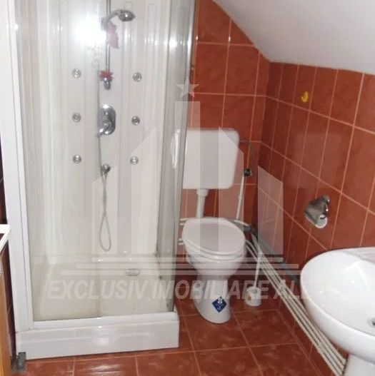 Casa cu 4 camere, Cetate - Poză 10