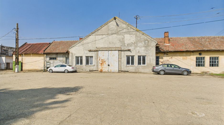 Complex industrial cu hale și teren  în Orțișoara - Poză 5