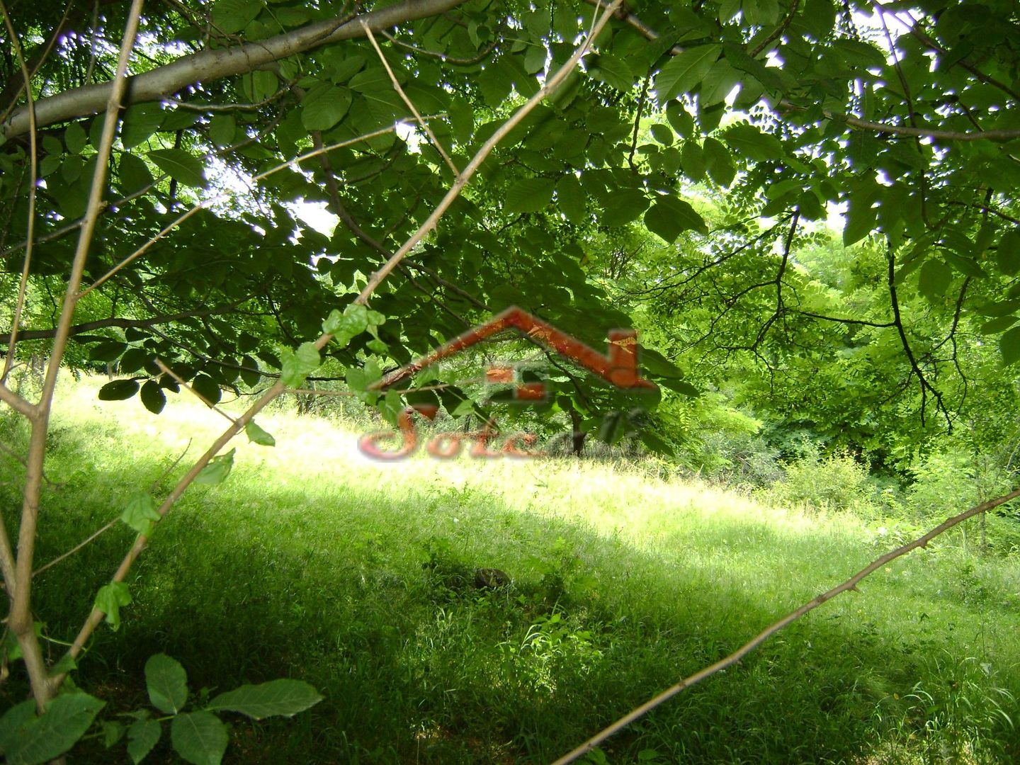 Teren de vanzare Cornu 3074 mp - Poză 2