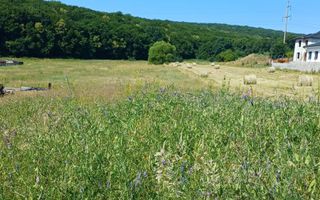 Teren intravilan - Corunca - Poză 3