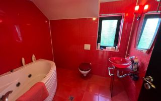 Vila de inchiriat in zona Ghiroda - Poză 15