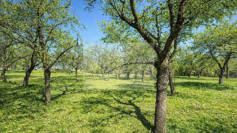 Proprietate cu potențial pensiune – sat Masca, 45 km Cluj - Poză 8
