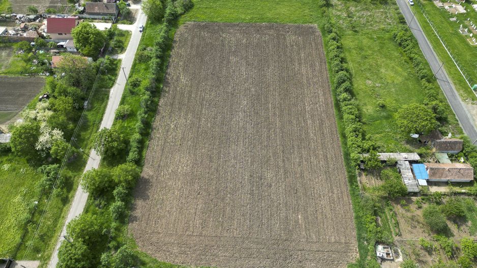 Teren Intravilan de 3,090 mp în Cuvin - Poză 14