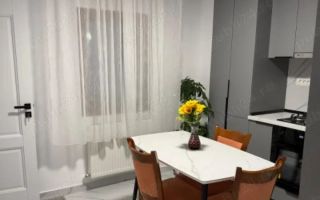 Delfinariu(cod04)-Casa 2 camere de inchiriat - Poză 7