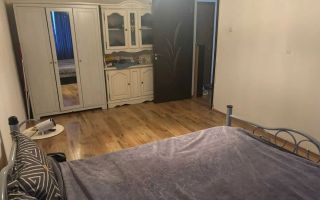 Apartament 2 camere Dristor Pet Friendly - Poză 1