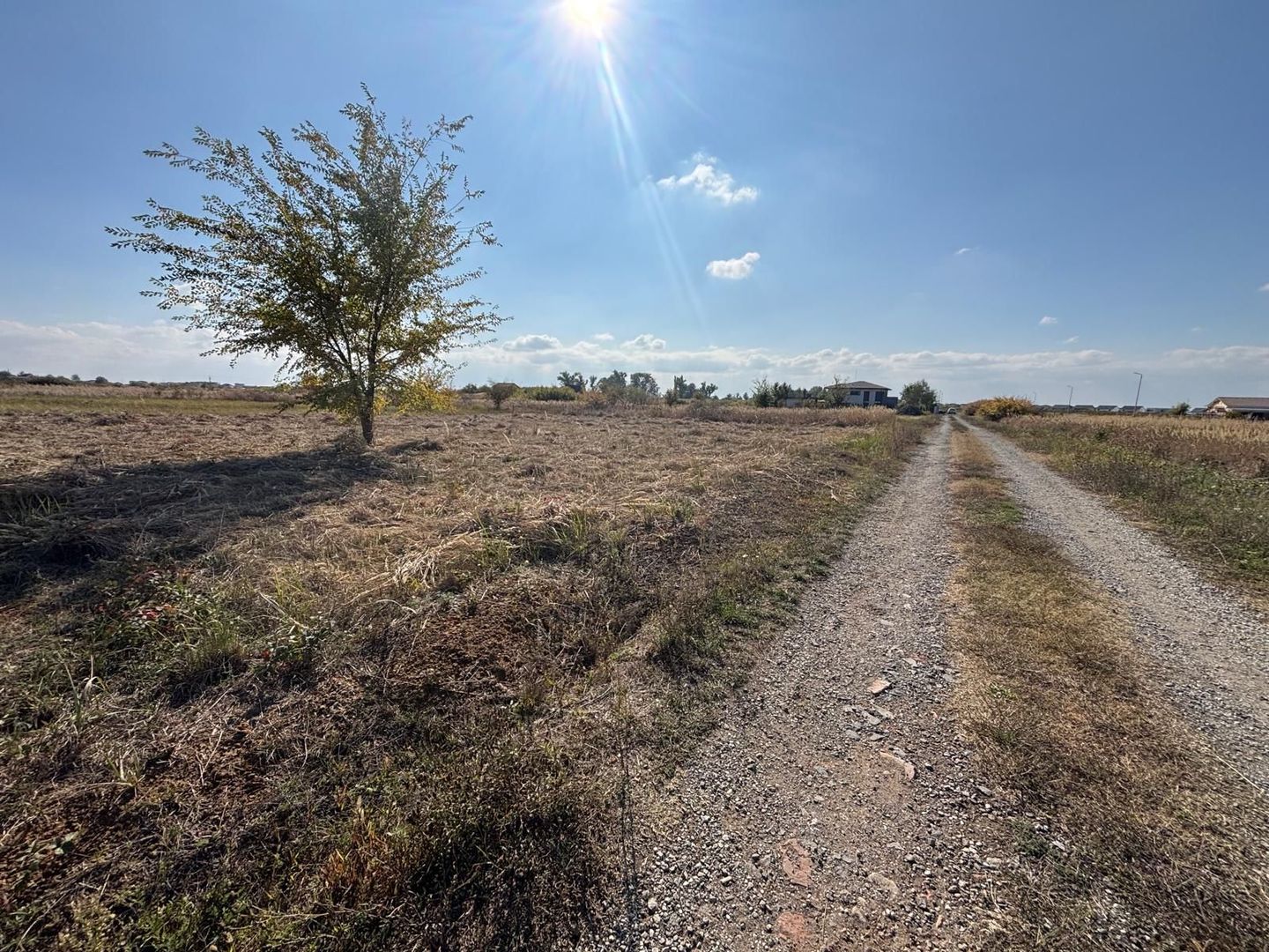 Teren Mosnita NOua 780 mp posibilitate duplex - Poză 5