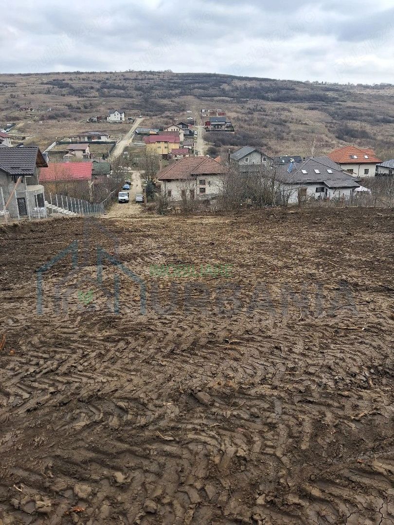 Teren intravilan Dorobanti - Poză 5