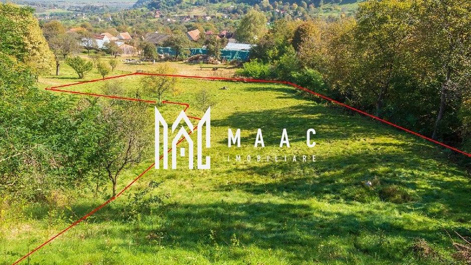 Teren | Intravilan | 2439 MPU | Fântânele - Poză 2