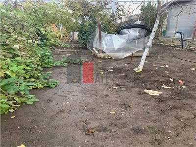 Vanzare  Teren  Pipera - Poză 2