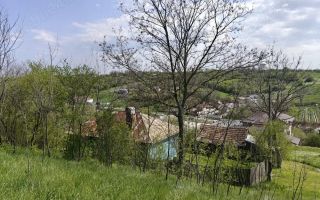 CASA LA 20 KM DE CRAIOVA CU 10000 MP. TEREN - Poză 1