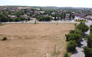 Teren 250000mp ,ideal  pentru logistica in Oradea - Poză 4