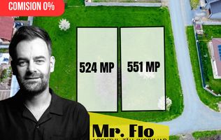 Terenuri pentru case individuale – Moșnița Nouă, zonă premium